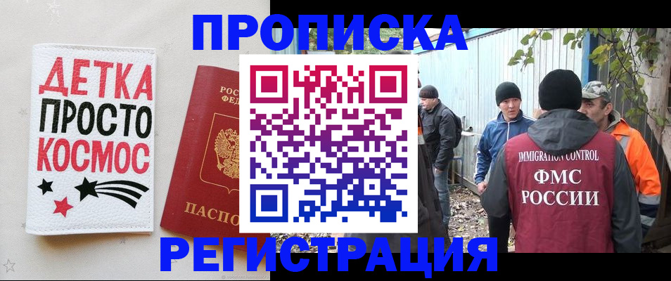 прописка поиск в Тереке